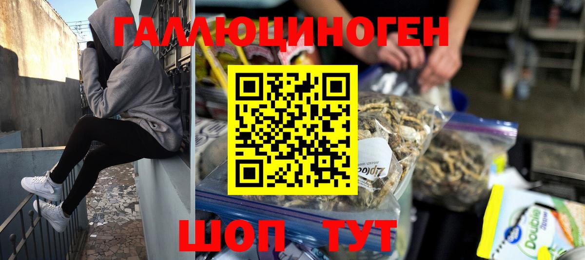 Новороссийск  Галлюциногенные грибы MAGIC MUSHROOMS  Вход с VPN 